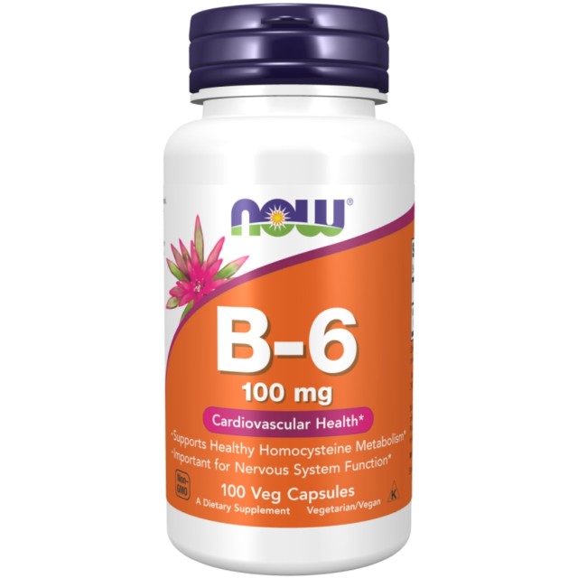 کپسول ویتامین NOW B6 100mg (100 عددی